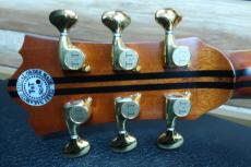 Terry's Terry TJ-100 Custom Model /　Abalone Head and Body Top and Side and Back Trim・Sakura Inlay・Solid Spruce Top・Solid Honduras Rosewood Side and Back・Neck heel Carving・Full option【With Original Hard Case】 2017年製_13