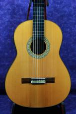 Juan Hernandez [ホアン・エルナンデス] PROFESOR　 FLAMENCA　ELECTRIC エレアコ_2