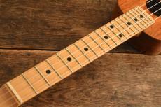 Shimo Guitars Tenor BUDDY_8