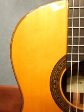 ARIA Concert Guitar Supervised By Shiro Arai AC80(スペイン製)_8