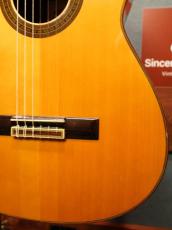 ARIA Concert Guitar Supervised By Shiro Arai AC80(スペイン製)_11