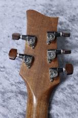 Kamaka HF-35 #240910【5弦テナー】_10