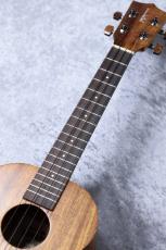 Kamaka HF-3 #240922【テナー】_4