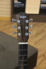 Taylor Baby Mahogany BT2-e_5