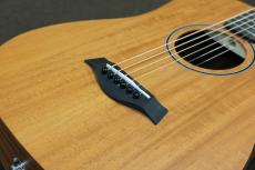 Taylor Baby Mahogany BT2-e_6