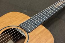 Taylor Baby Mahogany BT2-e_7
