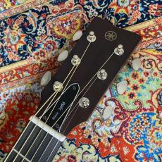 YAMAHA FGX3 Red Label 【オール単板】【現物画像】_8