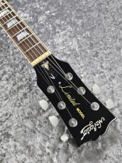 Navigator N-LP-'97 HONEY KEN -	Honey Sunburst -_5