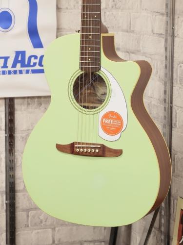 Fender Newporter Player Surf Green