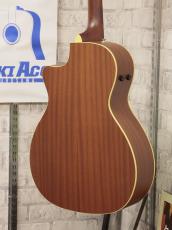 Fender Newporter Player Surf Green_8