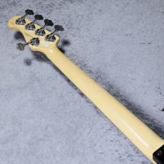 FUJIGEN NJB100RALV - Black -_9