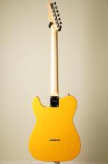 Provision TEC-KGN-#002-LA -Vintage Blonde- [3.32kg]_4