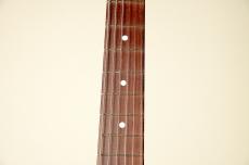 SCHECTER 【名古屋店オーダーモデル】PT5B-22 CTM/FRT M/HR -Black Natural-《NEW》_5