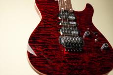 SCHECTER 【名古屋店オーダーモデル】PT5B-24 CTM/FRT -Black Cherry-《NEW》_8
