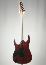Ibanez 【日本製】【Ibanezの最高峰モデル j.custom】RG8620AH-BQZ  -Black Quartz-《即納可》_9
