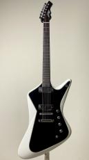 Prohaszka Guitars Drooid_2