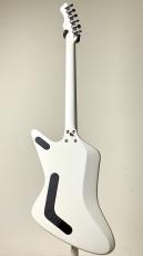 Prohaszka Guitars Drooid_4