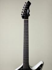 Prohaszka Guitars Drooid_7
