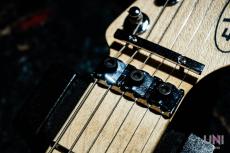 EVH Striped Series Red with Black Stripes_5