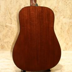 Martin D-18GE 2005_2