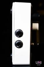 Electro-Harmonix C9 Organ Machine_4