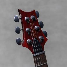 Paul Reed Smith [PRS] Custom24 10 Top Brazilian Rosewood FB Vintage Yellow / 1989_9