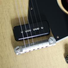 Gibson  Custom Shop 1960 Les Paul Special Singlecut Tom Murphy AGED 2006_6