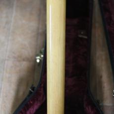 Gibson  Custom Shop 1960 Les Paul Special Singlecut Tom Murphy AGED 2006_11