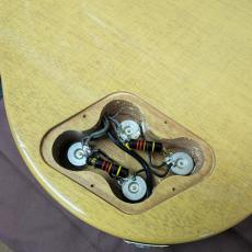 Gibson  Custom Shop 1960 Les Paul Special Singlecut Tom Murphy AGED 2006_17