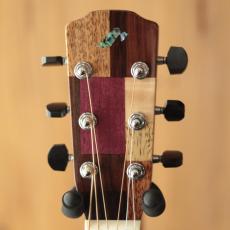 Morris S-101 III SPZ/LTD_9