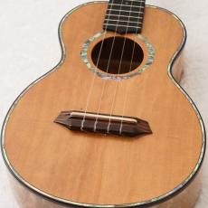 G String ABF-T4 '01 【現物動画あり】【USED】【48回無金利】【P.U付】【テナー】【買取・下取強化中!】
