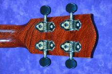 Eastman EU3C　オールマホガニー単板_5