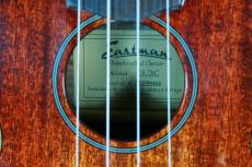 Eastman EU3C　オールマホガニー単板_6