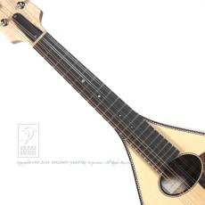 IWASHITA MANDOLINS&GUITARS tote dma (Maple)【セール開催中!36回無金利対象品】_5