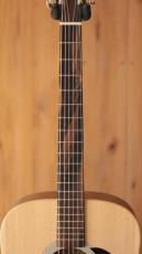 Martin D-X2E Billy Strings_6