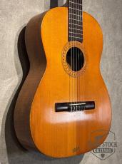 Hofner Model 485G 60s Vintage Classical Guitar_3