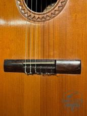 Hofner Model 485G 60s Vintage Classical Guitar_7