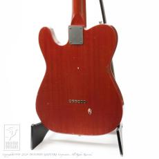 Nash Guitars T-59 FLM_3