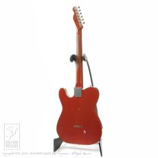 Nash Guitars T-59 FLM_4