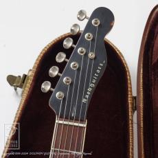 Nash Guitars T-59 FLM_5