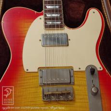 Nash Guitars T-59 FLM_11