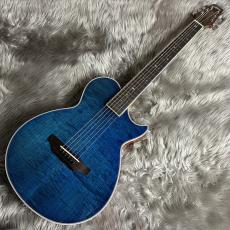 ARIA APE-100 SBL【現物画像】_2