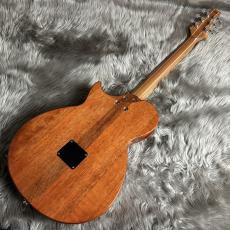 ARIA APE-100 SBL【現物画像】_6