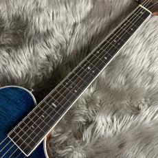 ARIA APE-100 SBL【現物画像】_9