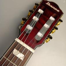 Ibanez 【現物画像】　FRH20QMN エレガットギター_2
