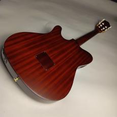 Ibanez 【現物画像】　FRH20QMN エレガットギター_5