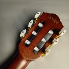 Ibanez 【現物画像】　FRH20QMN エレガットギター_6