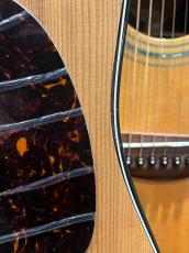 Martin DJR-10E-02_10