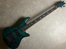 SCHECTER Stiletto Extreme_2