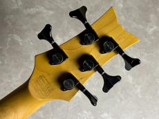 SCHECTER Stiletto Extreme_11